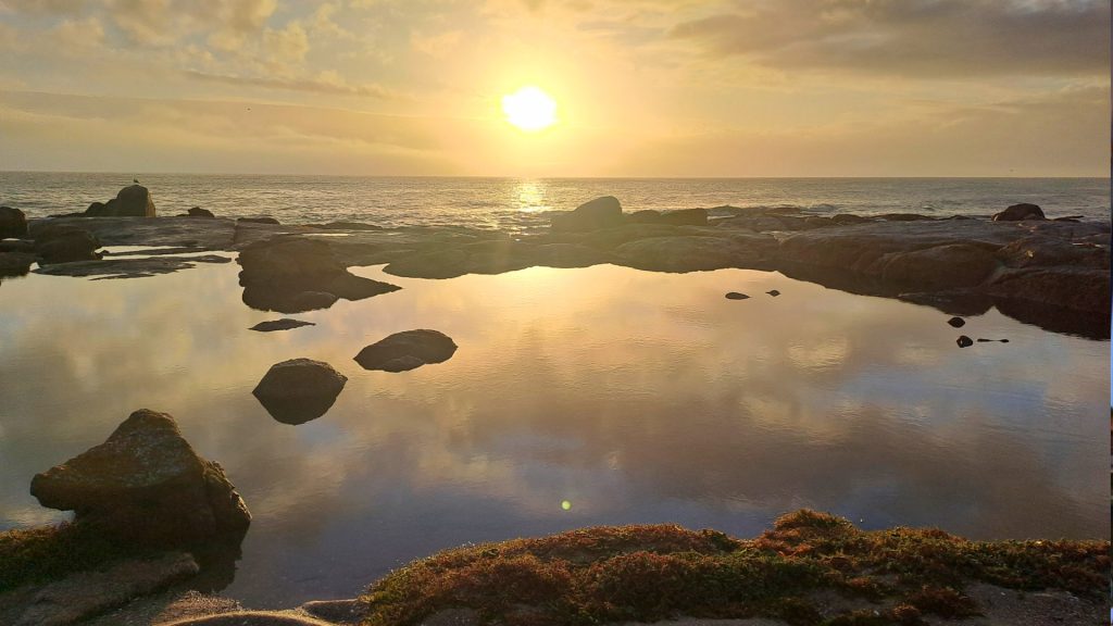 cta-bg-west-coast-rock-2